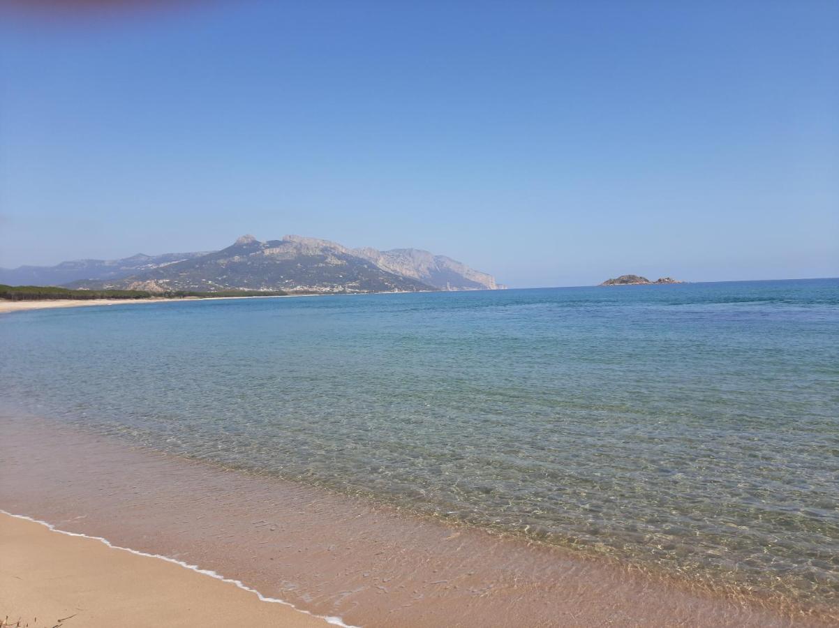 Villa Marhel Àrbatax Dış mekan fotoğraf