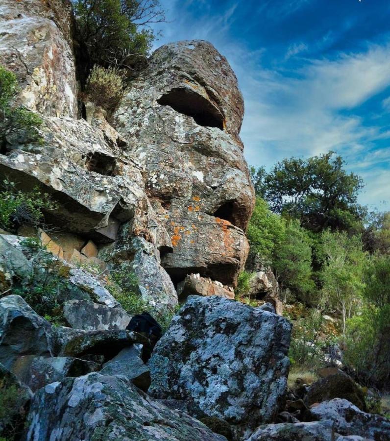 Villa Marhel Àrbatax Dış mekan fotoğraf
